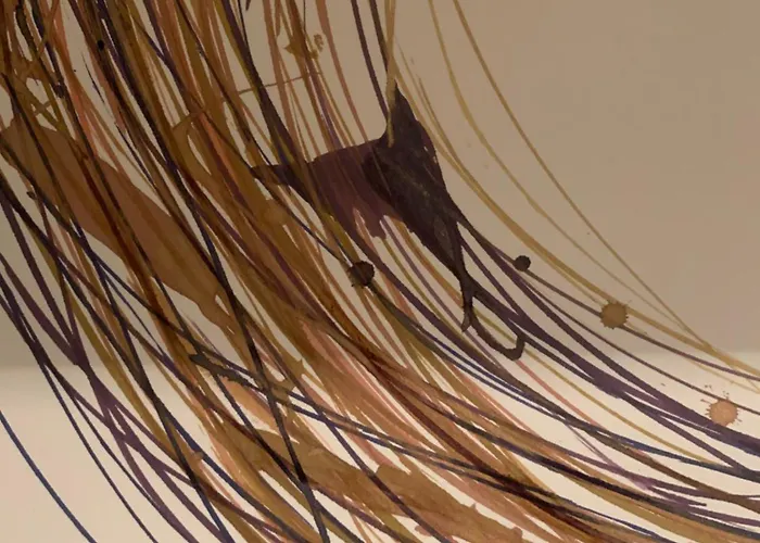 Sisters-homes Vidovici 11 アパート Vidović